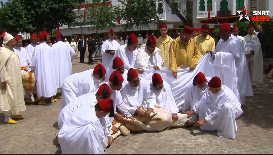 بعد قرار منع الذبح.. الملك محمد السادس يضحي بكبشين نيابة عن الشعب المغربي